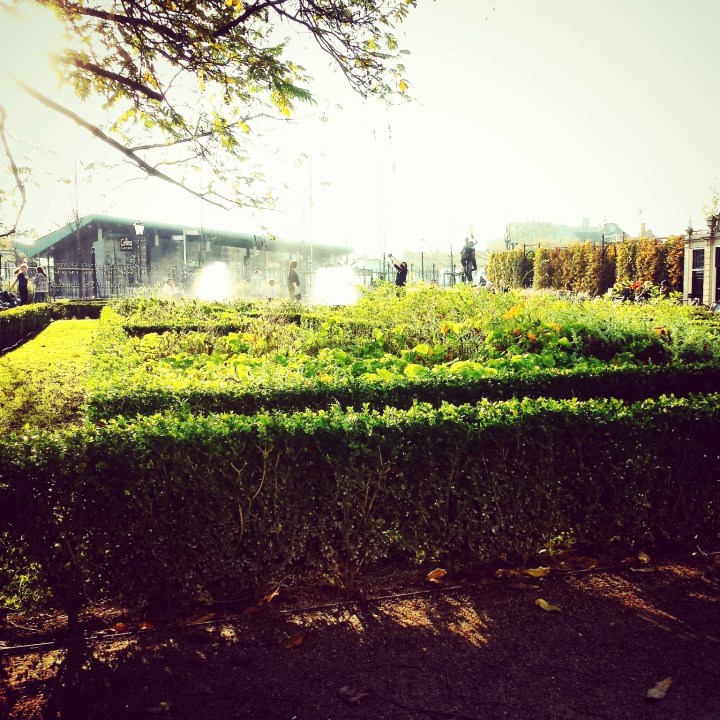 IMG_20141111_145204.jpg image