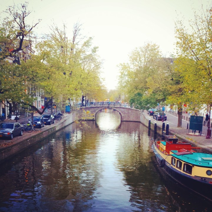 IMG_20141111_165806.jpg image