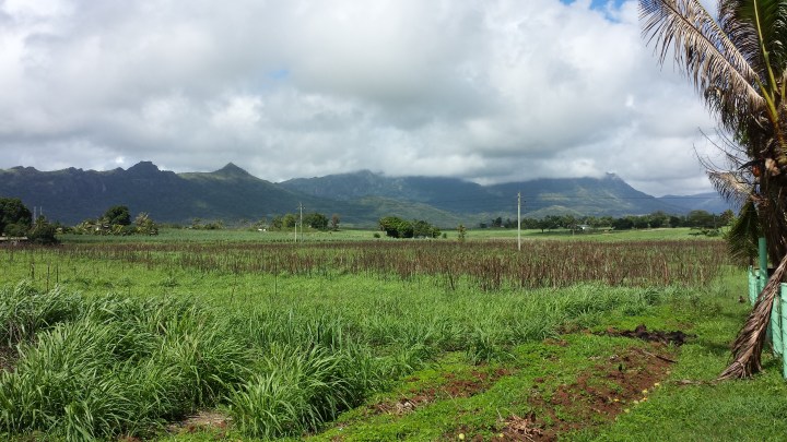 The scenery driving around Viti Levu was spectacular