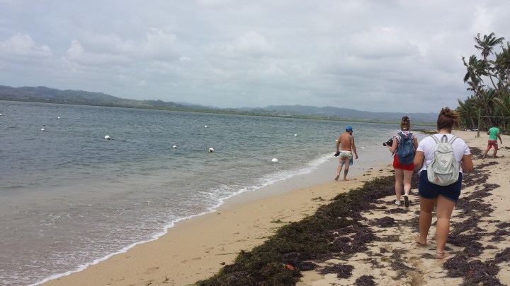 Part of the 'bushwalk' was along the beach