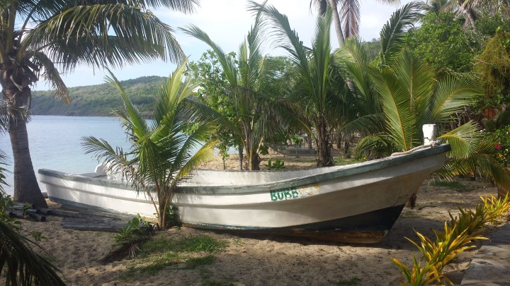 Mantaray was so pretty to walk around